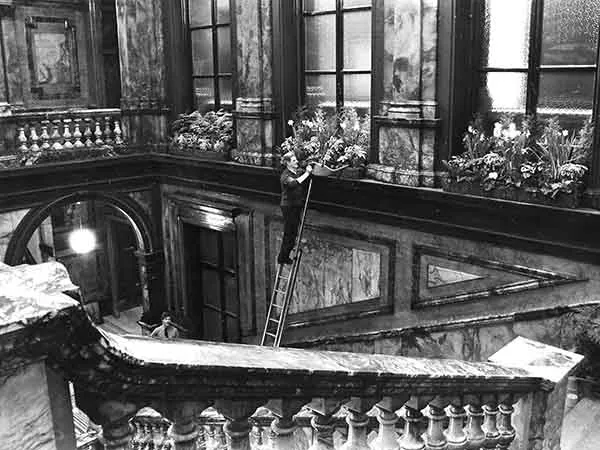 Political plants (Print 1971 CITY CHAMBERS FLORAL DISPLAY )